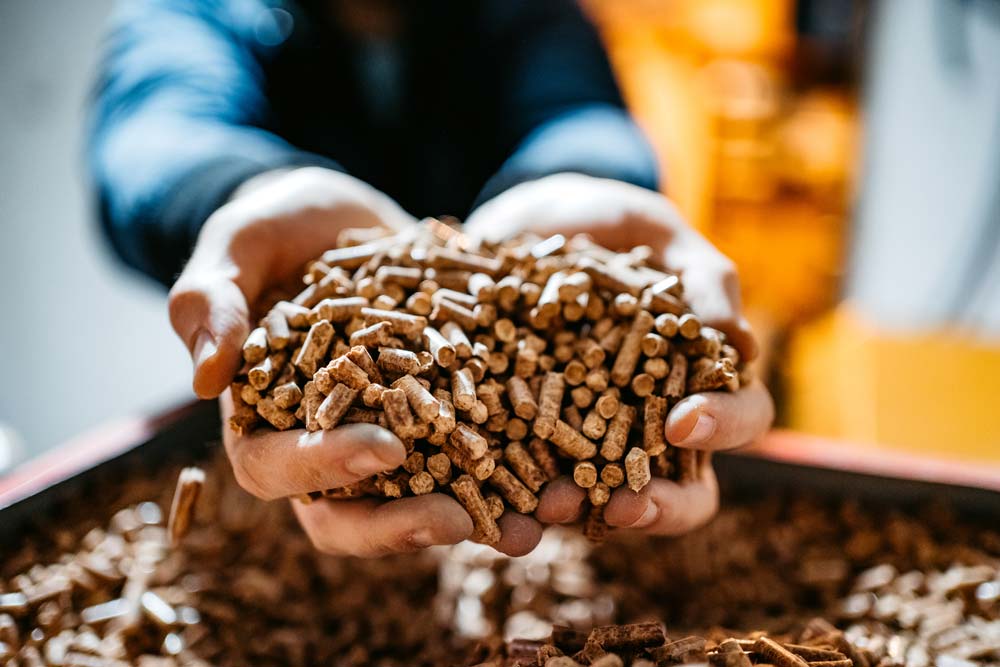 Person holding wood pellets in his/her hands.